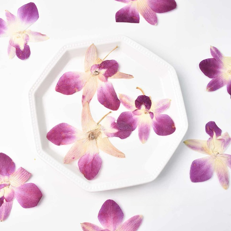 4 piezas, Flores de Orquídea M - Resin Art For Photo Frame reseña y precio