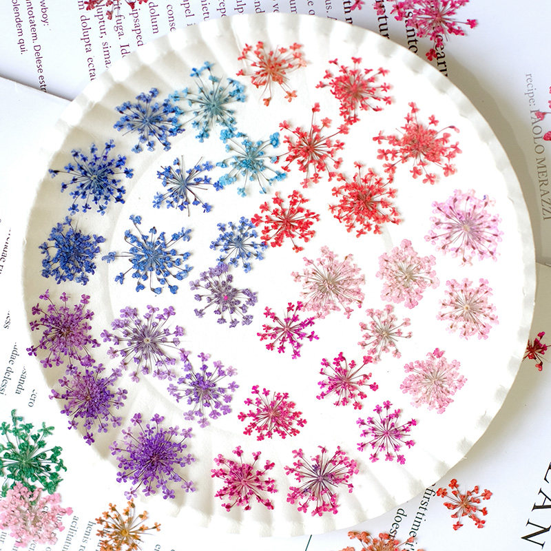24 piezas, 2-2.5cm, Pétalos de - Resin Art For Photo Frame reseña y precio